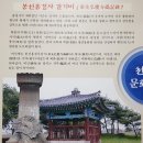 대한민국 국보 제7호 이미지