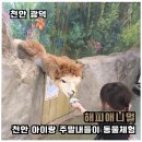 동남슈퍼문구 | 아이랑 주말나들이 해피애니멀 천안동물 체험 실내 야외 후기