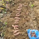 창조어린이집 이미지