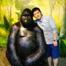 서울대공원 이미지