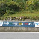 강씨봉자연휴양림 이미지