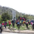 동해시-05 이미지