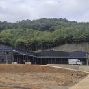 신산리-4 이미지