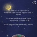 모닝포레스트