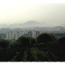 아꼴에
