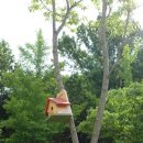 우산생태숲 이미지