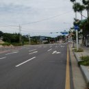 해망산농장 Daum카페