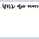 향산유원지 이미지