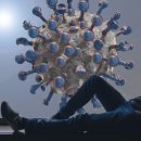 수원-1510 이미지