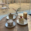 늘,예쁜개 | 청주 크리스마스 카페 예쁜 트리 포토존 이드니크