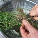 달래농장 이미지