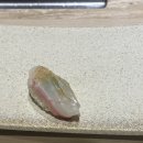 스시하로 이미지