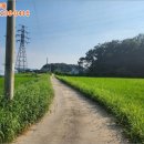 여주-1085 이미지