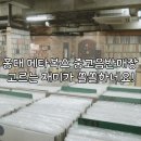 메타복스 이미지