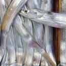 북방상회 이미지