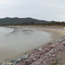 첫구지해수욕장 Daum카페