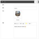 EP12. 모바일 청첩장 제작 완료! 가족 및 친구들에게 반응 폭발! [살롱드레터]