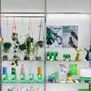 푸르고플래닛 | 성수 팝업스토어 4월 무신사 테라스 성수 선데이플래닛47 식목일 벚꽃 팝업