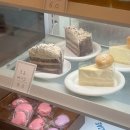 무안-10 | 무안 카페플로라53 | 크리스마스트리 예쁜 대형카페 내돈내산 후기