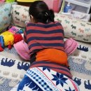 샤프메즈 이미지