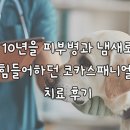 어썸펫동물병원 이미지