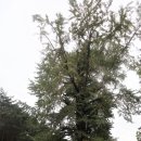 고견사주차장 이미지