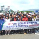 영천농협 공판장지점 이미지