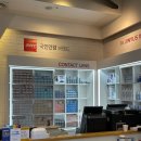 지니스 내동점 이미지