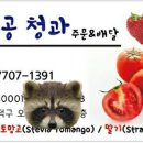 손오공청과 이미지