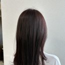 마그넷헤어 동대구점 | 동대구역 미용실 추천 SF헤어 동대구점 솔직후기