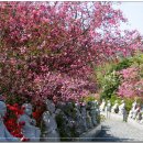 남미륵사 이미지