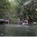 목욕농장 이미지