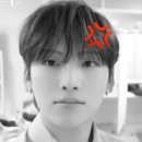 D01097 | 한정판 콩국수