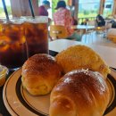 두낫두 | 경주 카페 추천 두낫디스터브 후기! 소금빵 맛집 + 왕릉뷰 카페