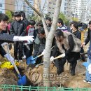 명촌초등학교 이미지