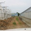 서근도 네이버블로그