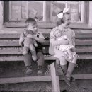 애견코리아 이미지