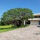 성산패총 이미지