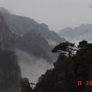 무릉도원 이미지