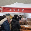 함안체육관 | 2026년 함안 곶감축제 평일 다녀온 후기｜아이랑 직접 먹어보고 골라왔어요