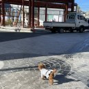 평화중앙7길 이미지