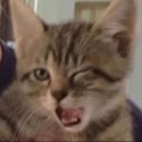 사랑떡볶이카페 이미지