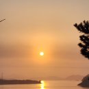 거금휴게소 이미지