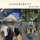 제주해양동물박물관 | 제주 성산 실내 아이랑 제주해양동물박물관 후기
