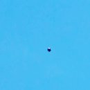 성남화랑초등학교 이미지