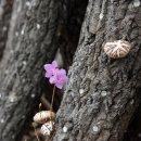 김재선농장 이미지