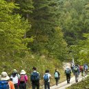 구례의길(지리산둘레길) 이미지