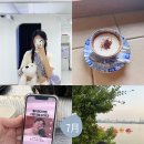 둥둥목장 이미지