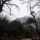 비선대만남의광장 이미지