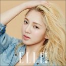 헤어무드 이미지